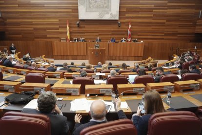 Pleno de las Cortes de Castilla y León