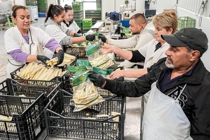 Planta de envasado de Espárragos Belloso, en la localidad vallisoletana de Tudela de Duero