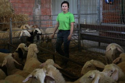 Explotación de ganado ovino de Nerea del Río en la localidad de Robladillo de Ucieza(Palencia)