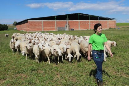 Explotación de ganado ovino de Nerea del Río en la localidad de Robladillo de Ucieza(Palencia)