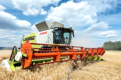 Una cosechadora en plena campaña atraviesa una de las parcelas de una explotación cerealista.