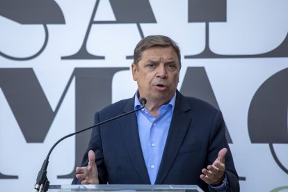 El Ministro de Agricultura, Pesca y Alimentación, Luis Planas, en una imagen de archivo