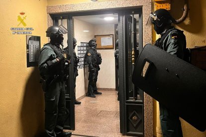 Los agentes intervienen en la vivienda.