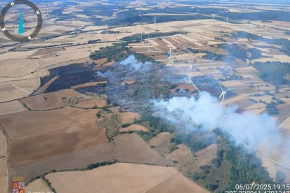Más de una veintena de medios trabajan en la extinción de un incendio en San Pedro de Valderaduey (León).

Más de una veintena de medios trabajan en la extinción de un incendio forestal declarado en la localidad leonesa de San Pedro de Valderaduey, en el municipio de Cea, ubicado en la comarca de Sahagún, según ha informado la plataforma de la Junta Inforcyl.

SOCIEDAD 
INFORCYL