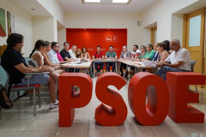 El secretario de Organización del Partido Socialista de Castilla y León, Daniel de la Rosa, mantiene una reunión de trabajo con el secretario de Organización del PSOE de León, Daniel San José.