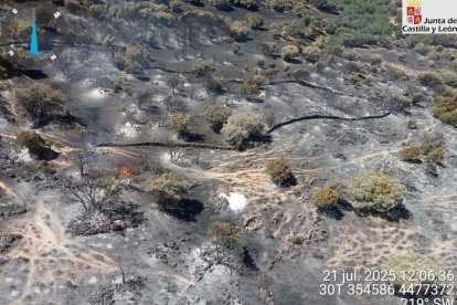 Incendio de Navaluenga esta mañana