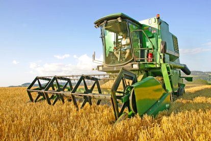 Una cosechadora recoge grano en un campo de cereal