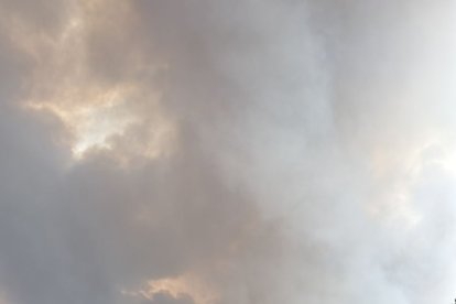 Incendio en el municipio abulense de San Bartolomé de Pinares.