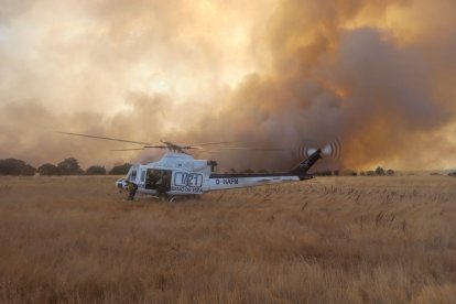 Incendio forestal de Molezuelas de la Carballeda, Zamora.