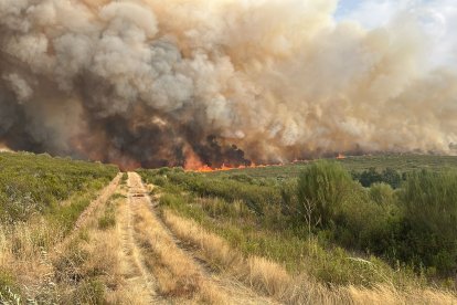 Incendio en Puercas (Zamora) que obliga a evacuar a vecinos.