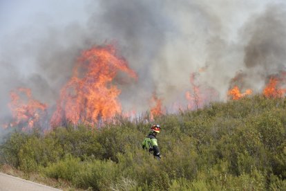 Incendio en Puercas, en Zamora