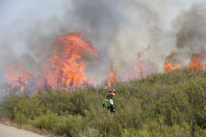 Incendio de Puercas en Zamora.