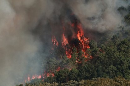 Incendio de El Payo en Salamanca.