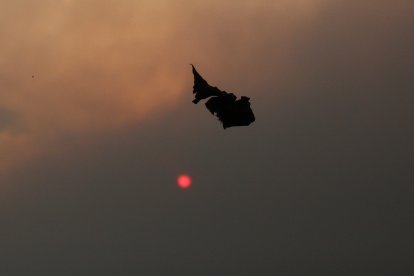 Lluvia de ceniza en Ponferrada de los diferentes incendios que están activos alrededor de la comarca del Bierzo