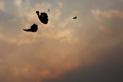 Lluvia de ceniza en Ponferrada de los diferentes incendios que están activos alrededor de la comarca del Bierzo.