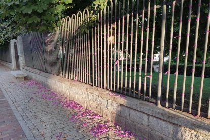 Estado en el que han quedado los lazos morados homenaje a las mujeres víctimas de violencia de género en Ávila.