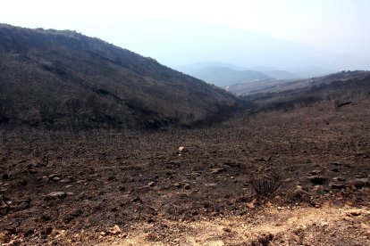 Efectos del incendio iniciado en la localidad de Yeres (León), y que ha afectado al paraje de Las Médulas