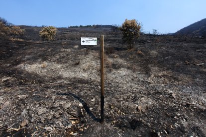 Efectos del incendio iniciado en la localidad de Yeres (León), y que ha afectado al paraje de Las Médulas