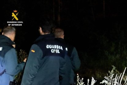 Agentes del dispositivo de búsqueda