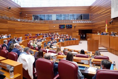 Votación en la segunda sesión del pleno de las Cortes de Castilla y León.