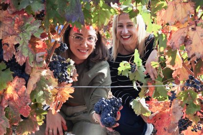 María González Corral, con un racimo de uvas durante la recogida en la bodega Dominio d’Echauz, en Zayas de Báscones de Soria.