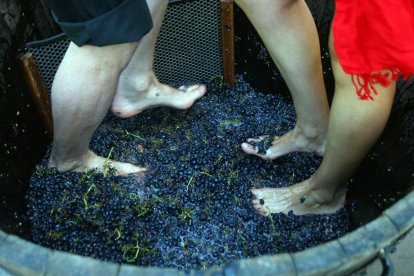 Pisada de uvas, una de las actividades de la III Feria del Vino de Aldeadávila de la Ribera