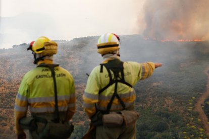 Bomberos forestales en un incendio en Castilla y León
