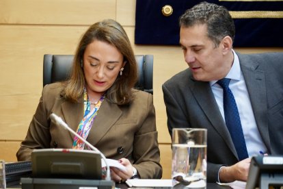 La consejera de Agricultura, Ganadería y Desarrollo Rural, María González Corral, comparece en las Cortes para informar sobre el proyecto de ley de Presupuestos de su departamento.