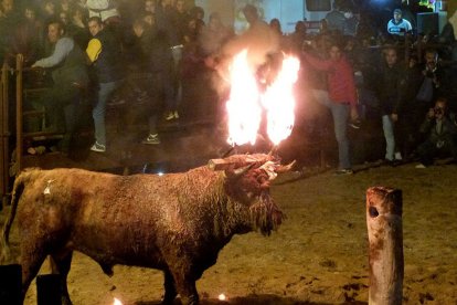Toro Jubilo de Medinaceli, en una imagen de archivo.