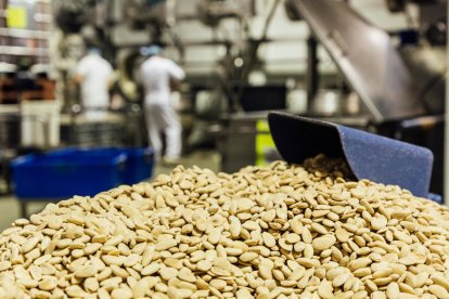 Almendras siendo procesadas tras la recolección

Joaquín Reina - Europa Press