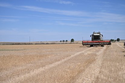 Una cosechadora en una explotación agrícola de la Comunidad