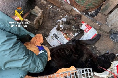 Situación de la finca en la comarca ed Alfoz (Burgos)