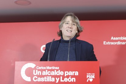 El secretario general del PSOE de Castilla y León y candidato a la Presidencia de la Junta, Carlos Martínez.