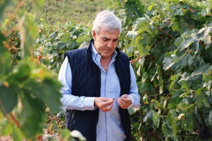 José Moro, su proyecto más personal
