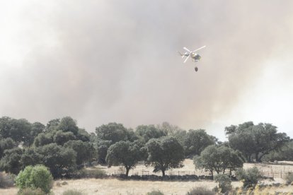 Incendio en Malillos, en una imagen de archivo.