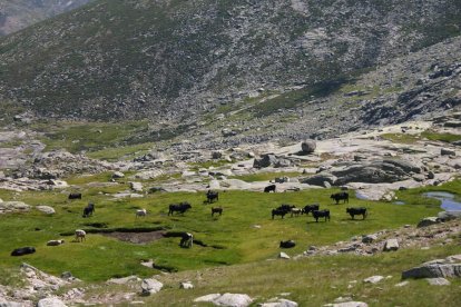 Parque Regional de la Sierra de Gredos