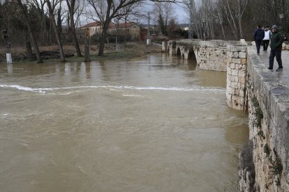 Aspecto que presenta el río Carrión a su paso por la capital palentina