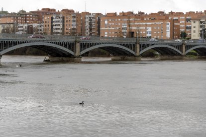 La lluvia en Salamanca durante todo el día provoca la subida del cauce en el río Tormes.