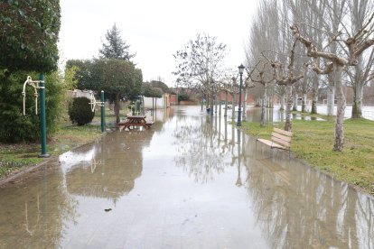 Crecida del Río Orbigo a su paso por Villabrazaro