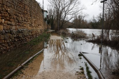 Crecida del rio Duero a su paso por Soria