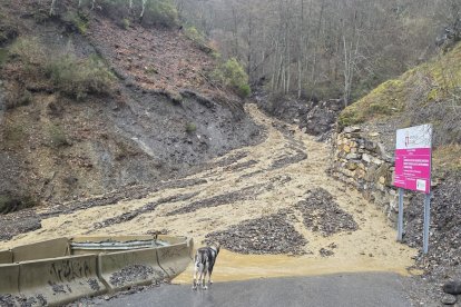 Nuevo derrumbe en la carretera de Peñalba de Santiago en León.