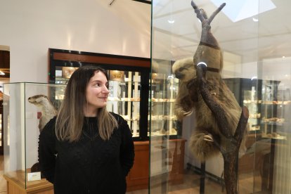 La bióloga y coordinadora de los museos, Verónica Viñas, junto a un ejemplar de Perezoso naturalizado