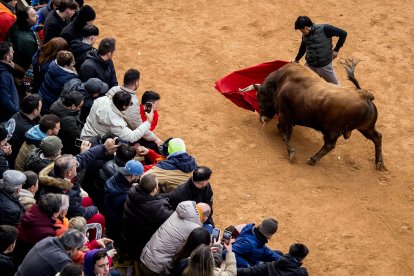Martes del Carnaval del Toro de Ciudad Rodrigo (Salamanca)