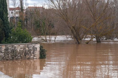Estado del Duero a su paso por Puente Duero en Valladolid