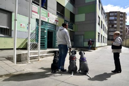 Animales de compañía a las puertas de un colegio electoral debido a la prohibición de acceso de los mismos