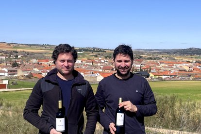 Ramón y José Ramos, con sus dos últimos vinos, frente a una panorámica de su pueblo, Venialbo.