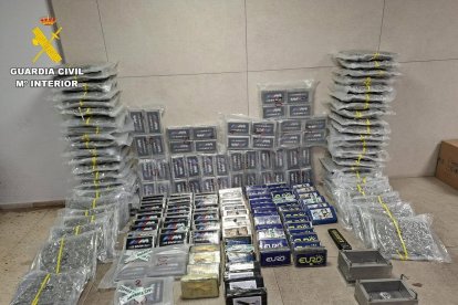 Droga incautada en Castellón tras una operación iniciada en Ávila