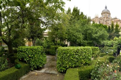 El Huerto de Calixto y Melibea, uno de los espacios más emblemáticos de Salamanca, con la catedral emergiendo entre la vegetación histórica del jardín