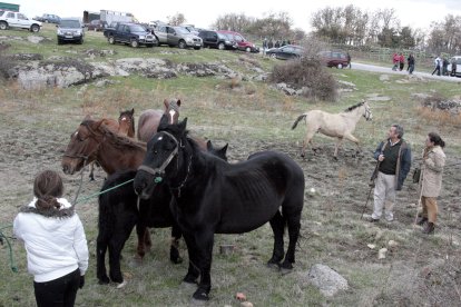 Ediciones anteriores de la Feria del Ángel y de Caballo celebrada en la localidad de Fuentepelayonja.