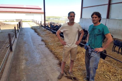 Los hermanos Porres han logrado poner a su explotación familiar y su pueblo en el mapa gracias al caprino lácteo.